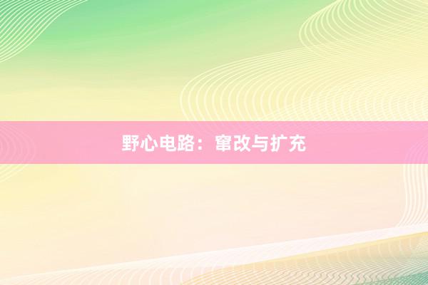 野心电路：窜改与扩充